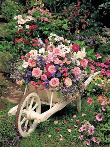 giardino bassa manutenzione