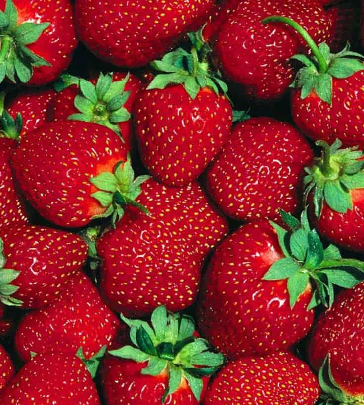 9 consigli per coltivare le fragole