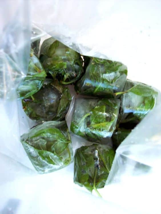 Cubetti di ghiaccio con erbe aromatiche