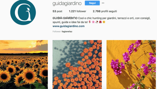 account Instagram a tema piante e fiori da seguire