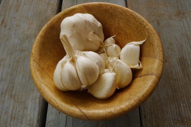 'aglio è una pianta semplice da coltivare, non richiede particolari attenzioni e, a meno che non venga attaccata da funghi e parassiti, garantisce un buon raccolto entro i 5 mesi successivi