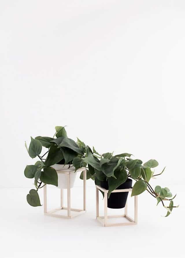 Stand in stile minimal per piante d'appartamento