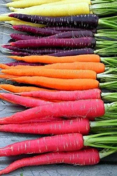 carote colorate: gialle, viola, arancioni e rosse