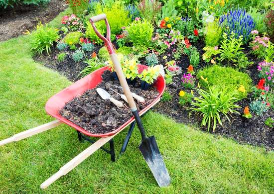 Vanga e carriola, due strumenti molto utili per fare giardinaggio