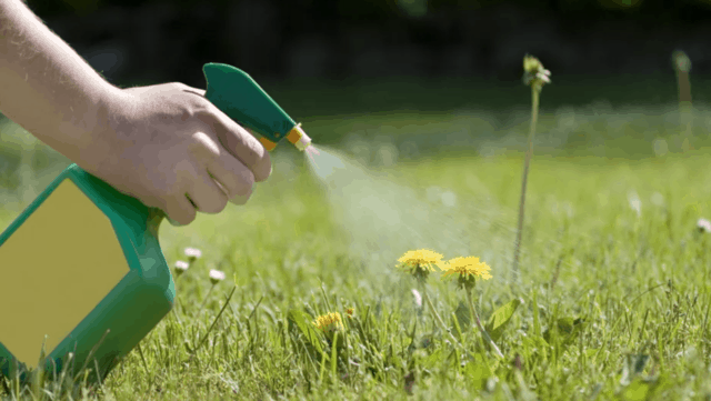 Spray fai da te per eliminare le erbacce