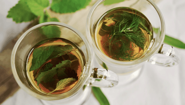 Erbe da coltivare per preparare tè e tisane