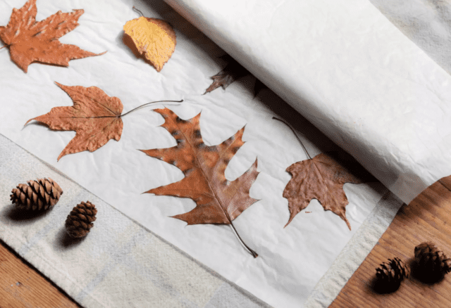 Come decorare con le foglie autunnali