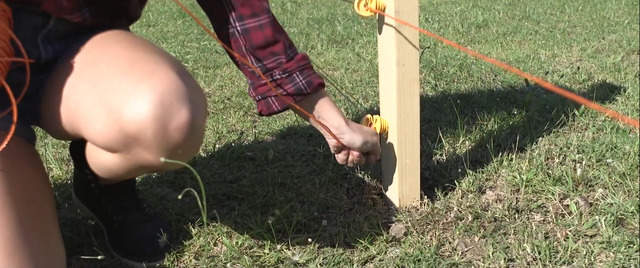 recinzione elettrica come si installa