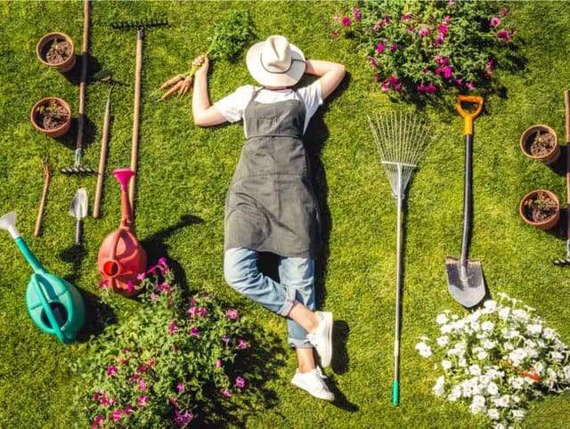 Utensili per giardino e outdoor