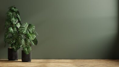 selezione di piante da pianerottolo