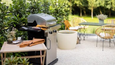 barbecue a gas per il giardino