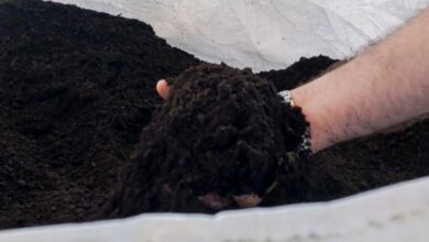 humus di lombrico fertilizzante nsaturale