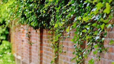ombra per giardino